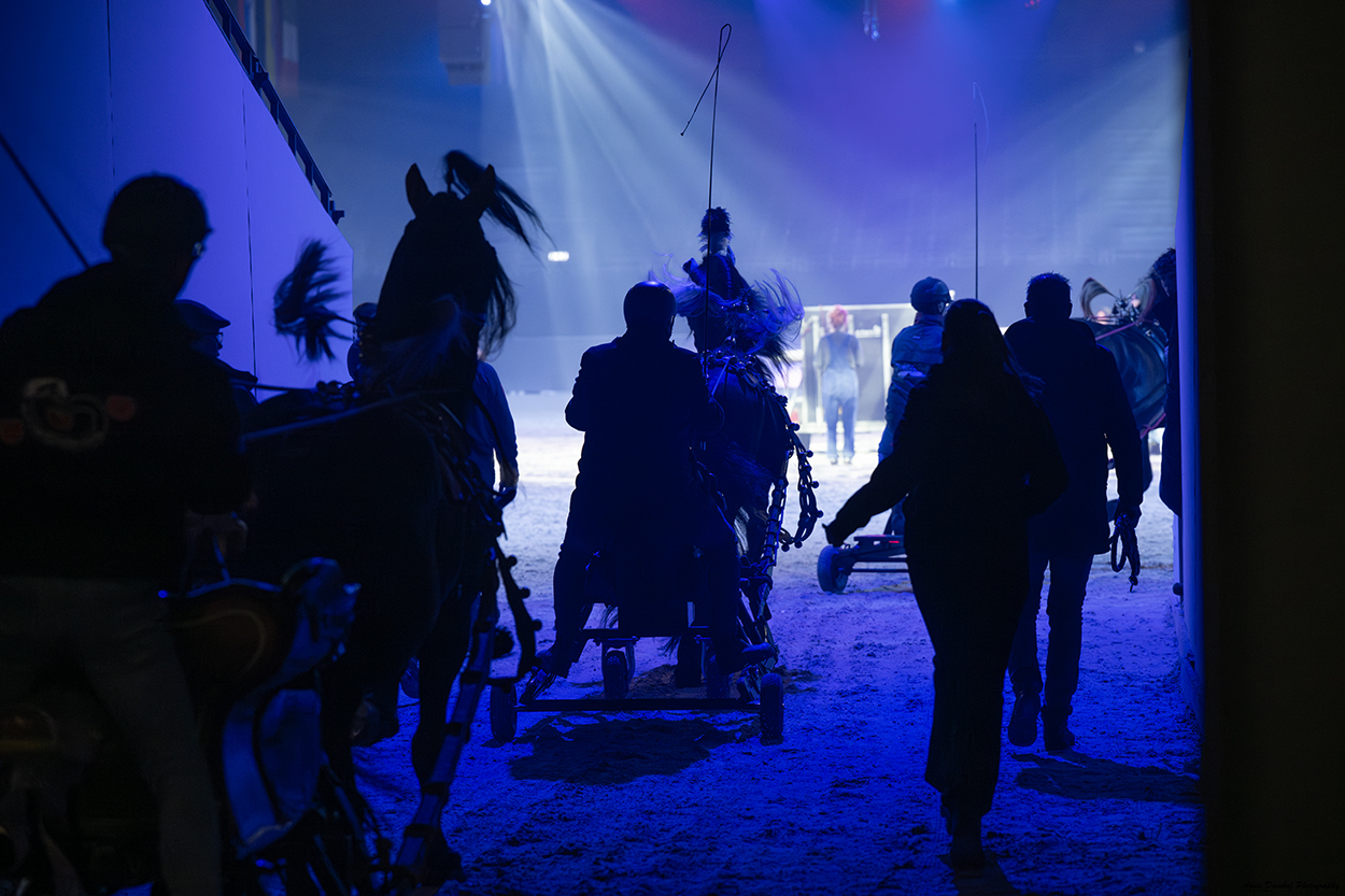 Ruiters, menners en paarden lopen de verlichte arena in